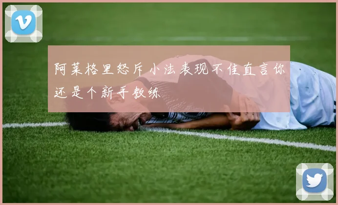 阿莱格里怒斥小法表现不佳直言你还是个新手教练